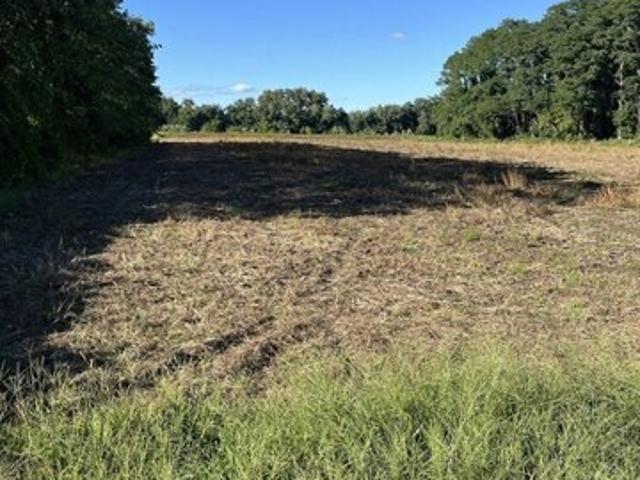 Land for sale in Hadley, Massachusetts