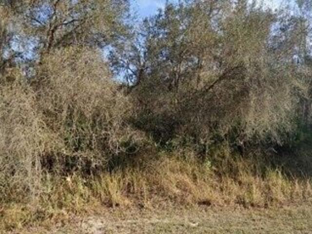 Land for sale in Avon Park Land for sale in Avon Park