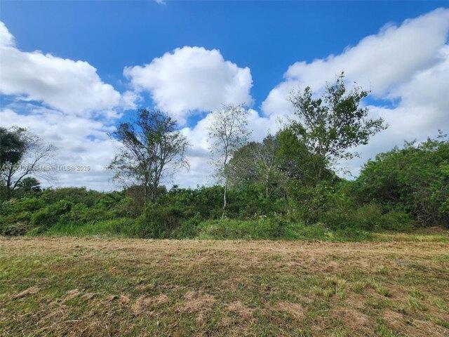 Land for sale in Clewiston Land for sale in Clewiston