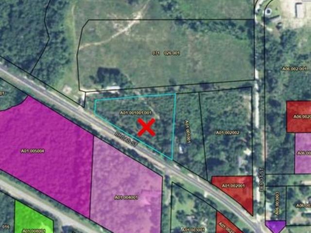 Land for sale in Abbeville, Georgia