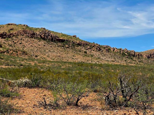 Land for sale in Douglas Land for sale in Douglas