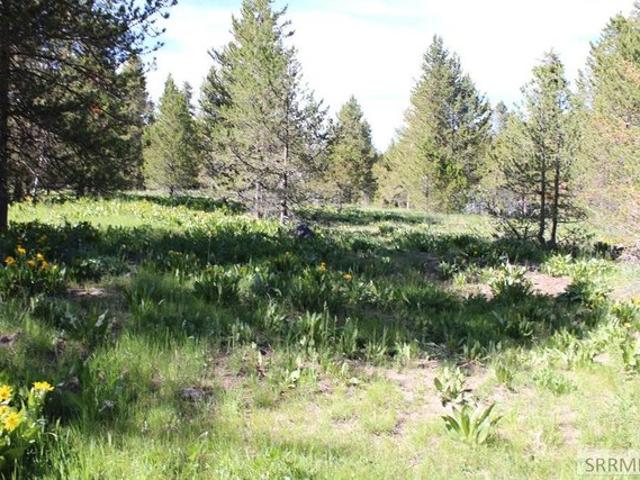 Land for sale in Island Park, Idaho