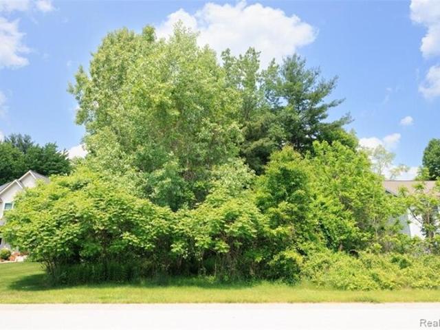 Land for sale in Port Huron Land for sale in Port Huron