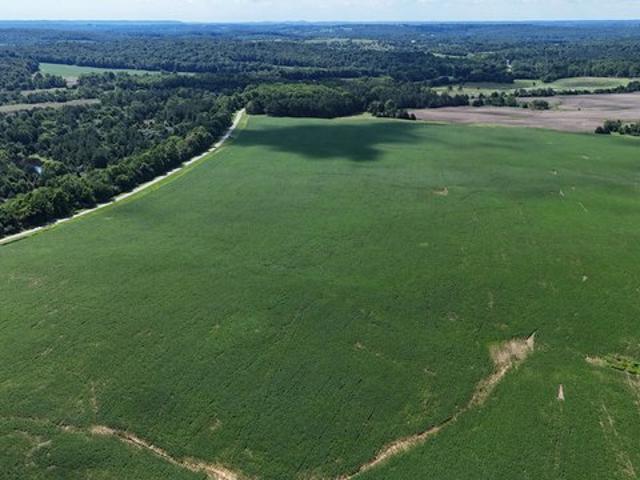Land for sale in Crofton, Kentucky