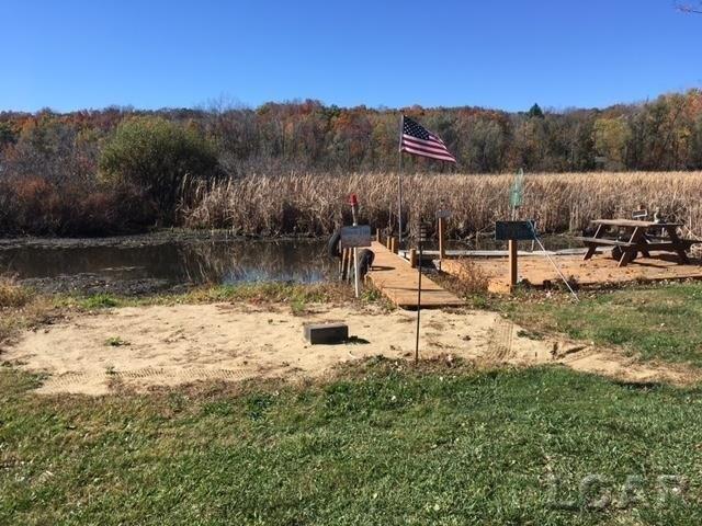 Land for sale in Onsted, Michigan
