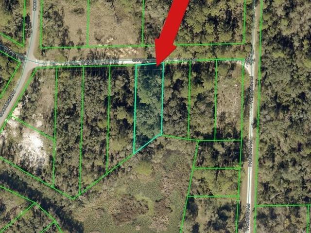 Land for sale in Webster, Sumter County