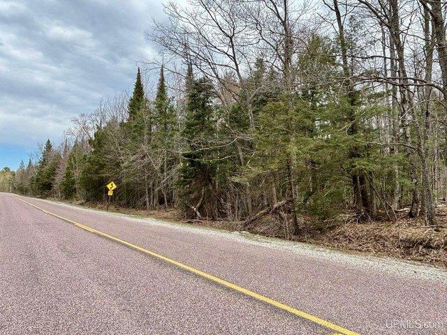 Land for sale in Skandia, Michigan
