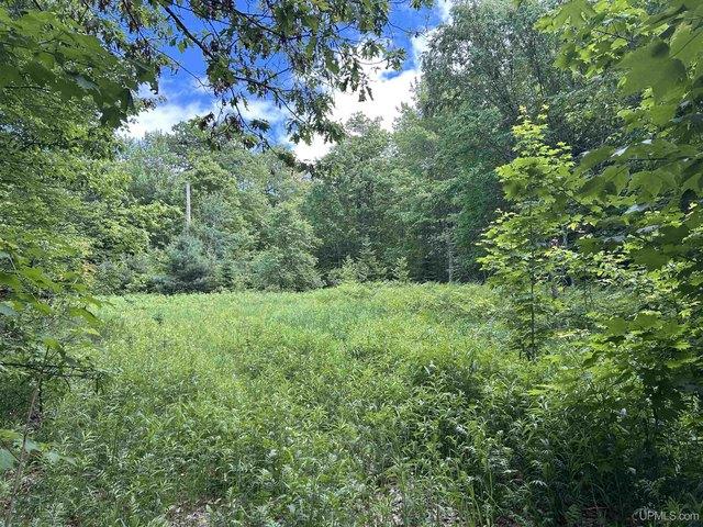 Land for sale in Skandia, Michigan