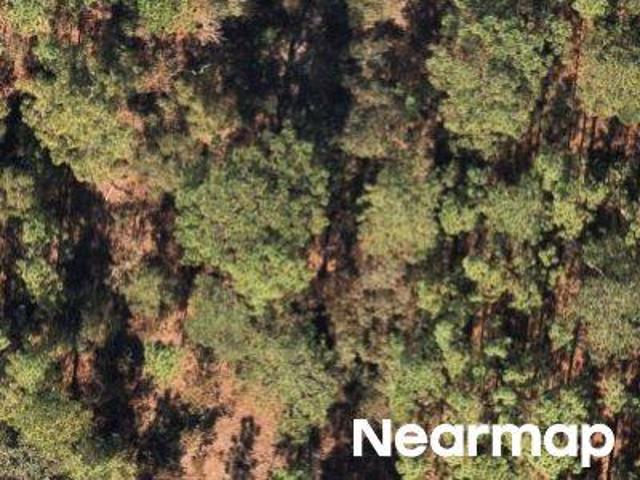 Property for sale in Florida