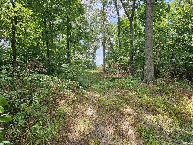 Land for sale in Waltonville, Illinois