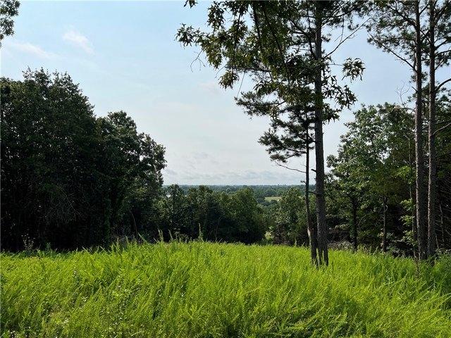 Land for sale in Ark