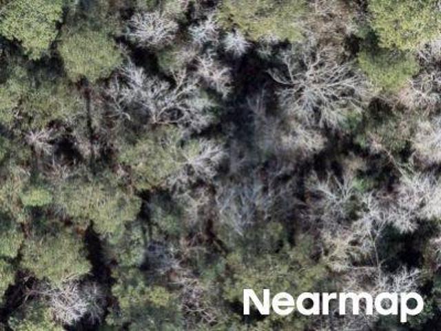 Land for sale in North Carolina