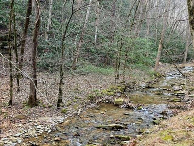 Land for sale in Tennessee