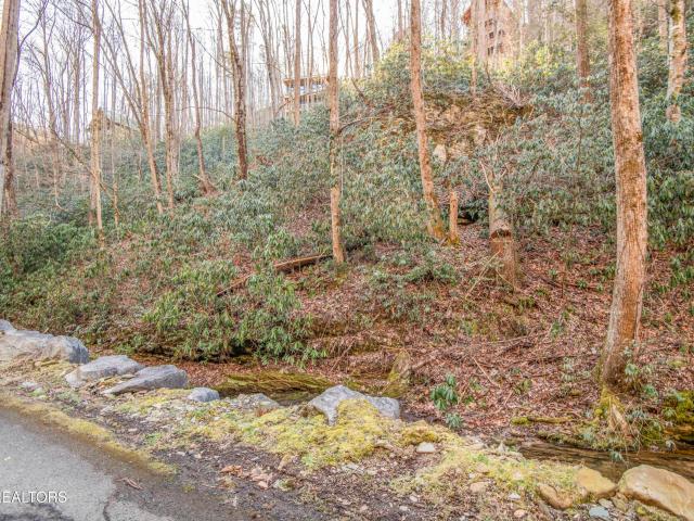 Land for sale in Tennessee