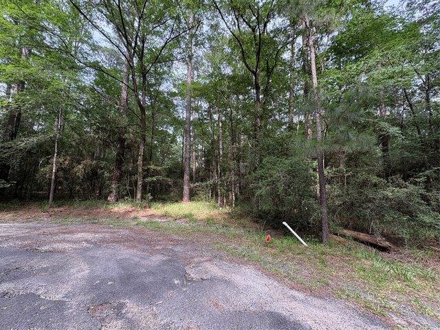 Land for sale in Texas