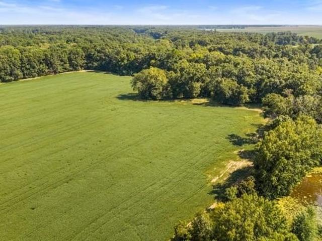 Land for sale in Marshall, Clark County