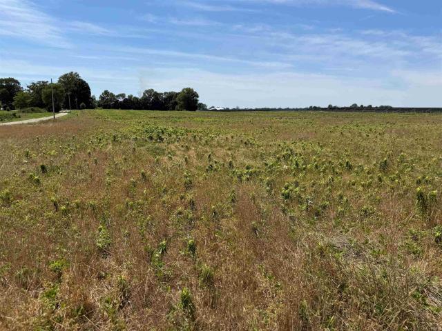 Land for sale in Petersburg, Indiana