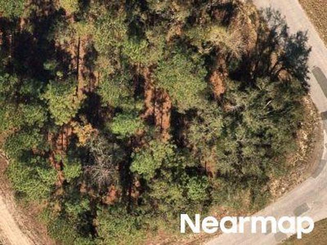 Land for sale in Florida