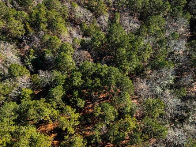 Land for sale in Tatum, Texas
