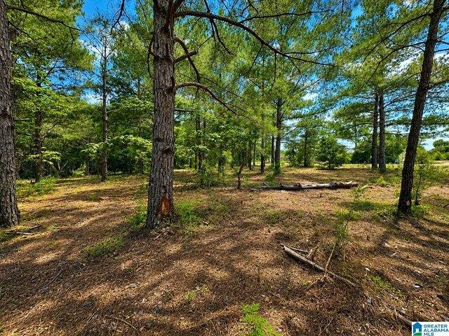 Land for sale in Prattville, Alabama
