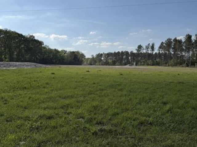 Land for sale in Lovelady, Texas
