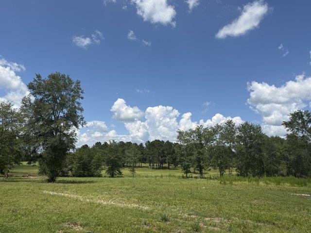 Land for sale in Lovelady, Texas