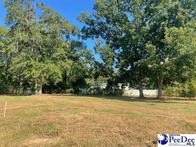 Land for sale in Chesterfield, South Carolina