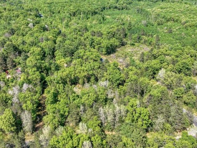 Land for sale in Arcadia, Trempealeau County