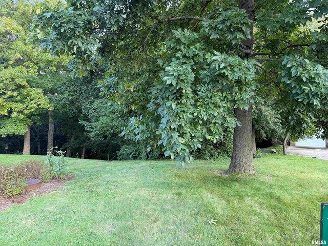 Land for sale in Edwards, Illinois