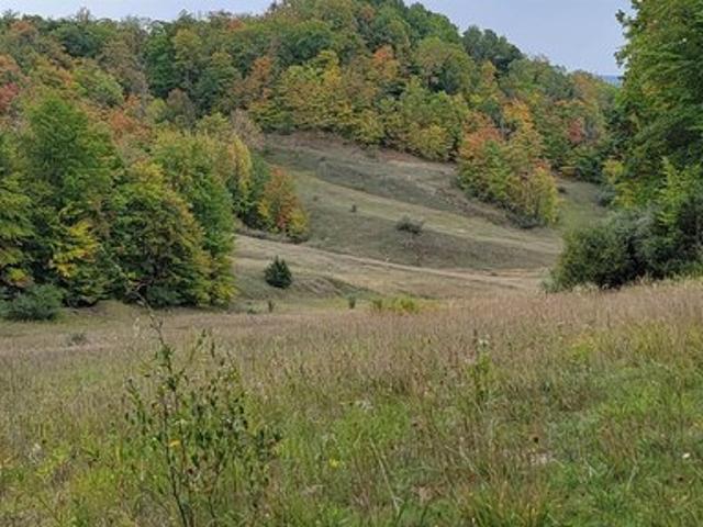 Land for sale in Bellaire, Michigan