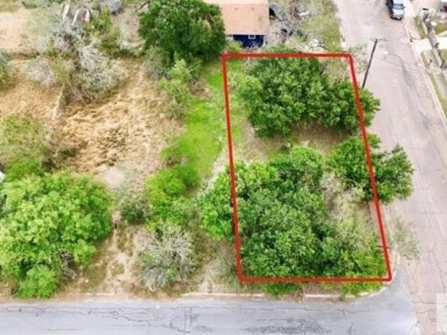 Land for sale in Harlingen