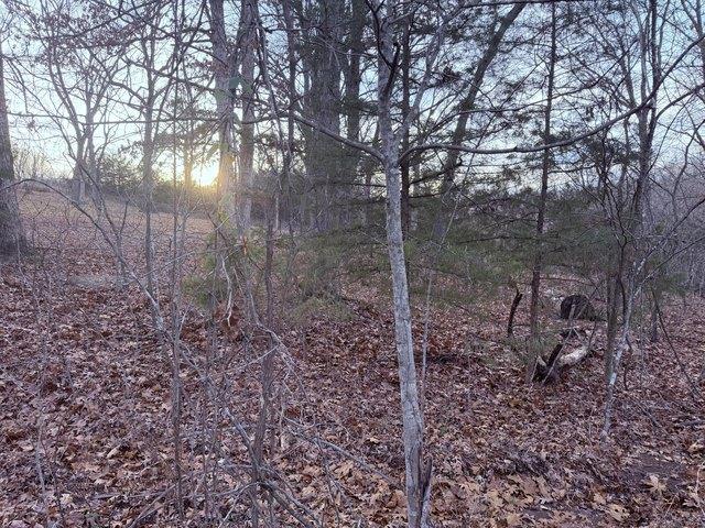 Land for sale in Greenfield, Missouri