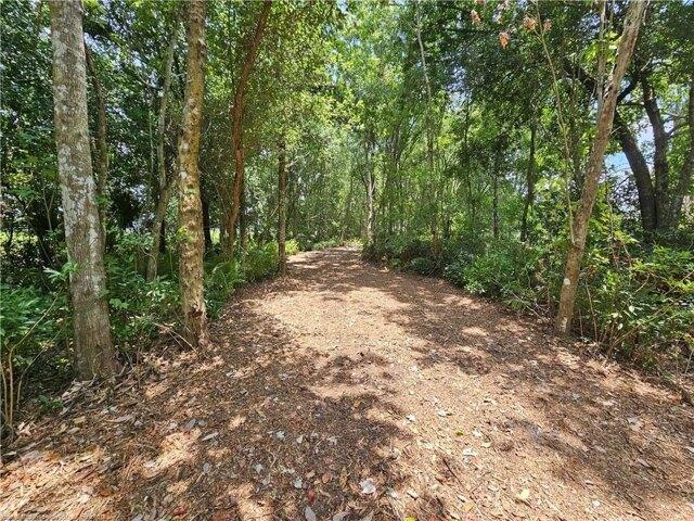 Land for sale in Avon Park