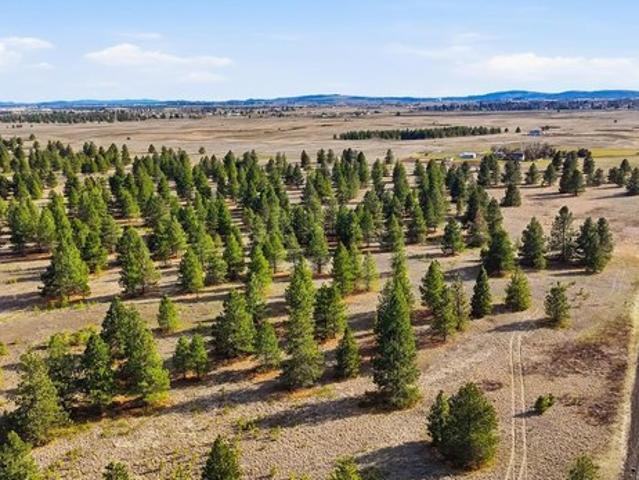 Land for sale in Medical Lake, Washington