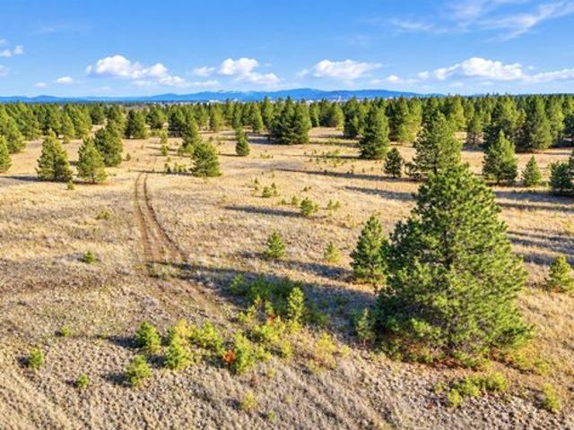 Land for sale in Medical Lake, Spokane County