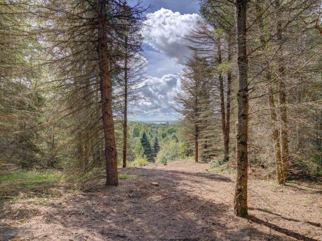 Land for sale in Lake Leelanau, Leland Township