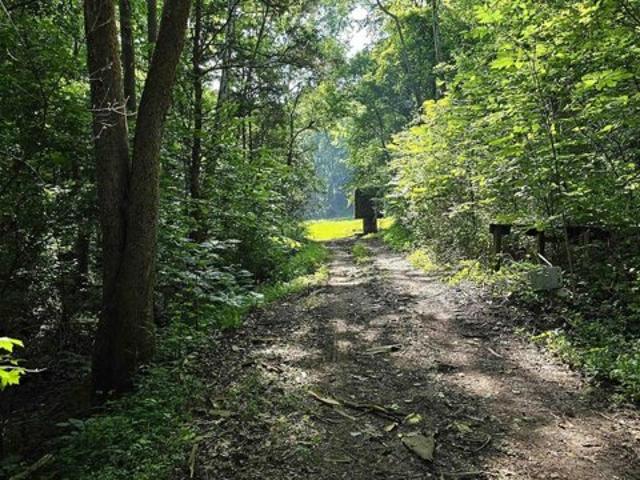 Land for sale in Madison