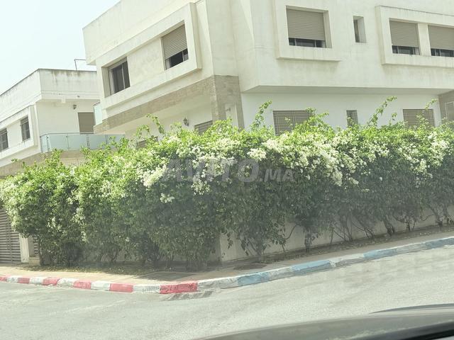 Propriété vente à El Ma, Gharb-Chrarda-Beni Hssen