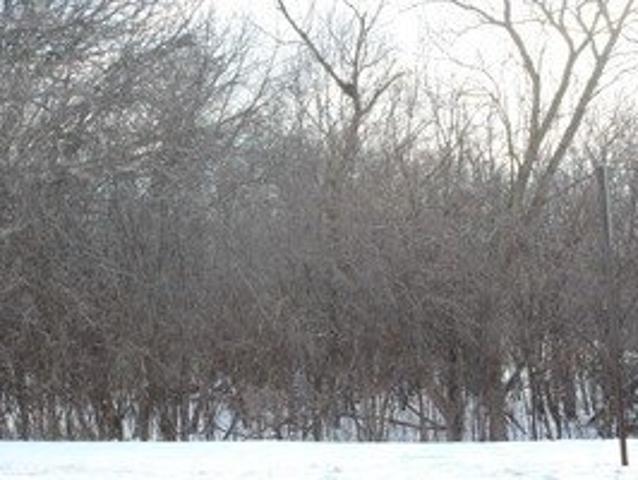 Land for sale in Round Lake Land for sale in Round Lake