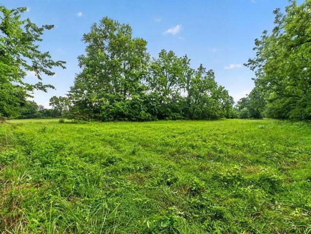 Land for sale in Walnut Grove, Missouri