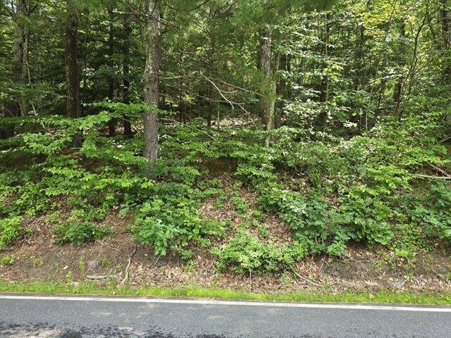 Land for sale in Williamsburg, Massachusetts
