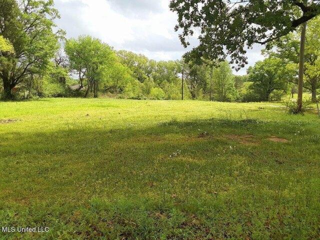 Land for sale in Jackson