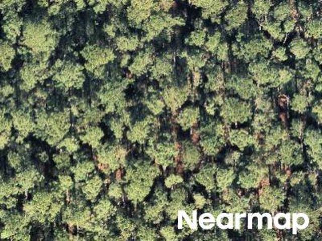 Land for sale in Crystal River, Florida