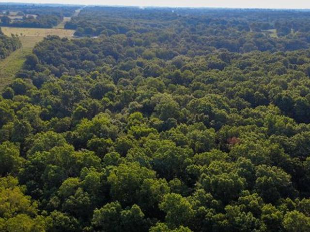 Land for sale in Walnut Grove, Missouri