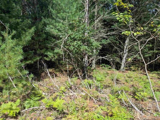 Land for sale in Alger, Moffatt Township