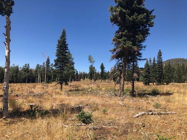 Land for sale in Duck Creek Village, Utah