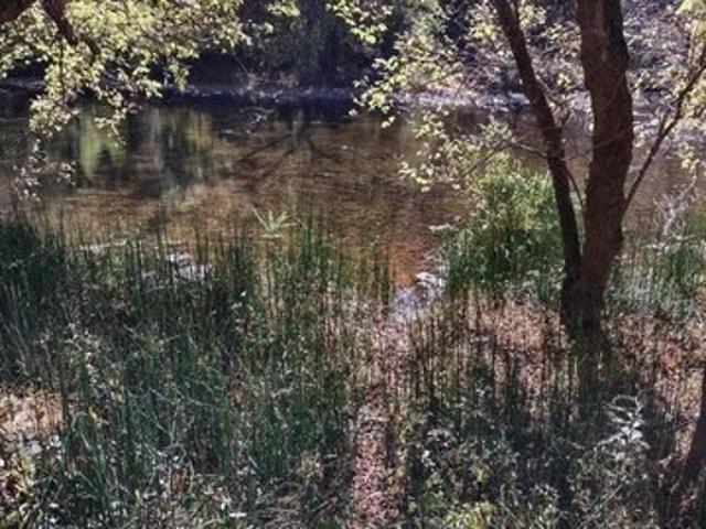 Land for sale in Virginia