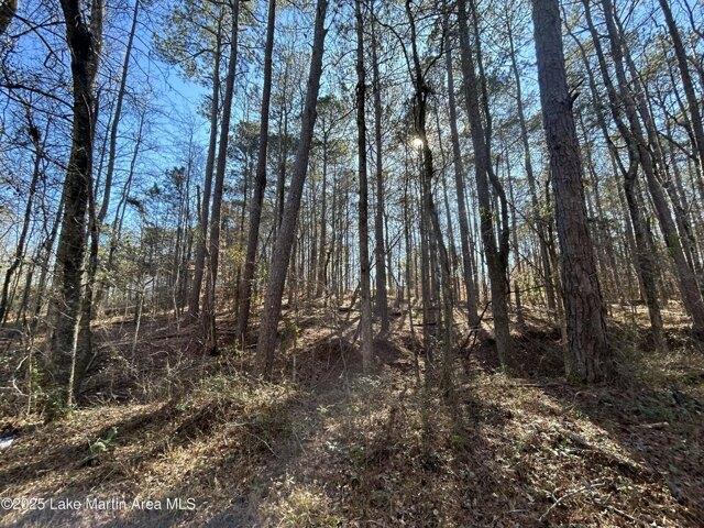 Land for sale in Alexander City