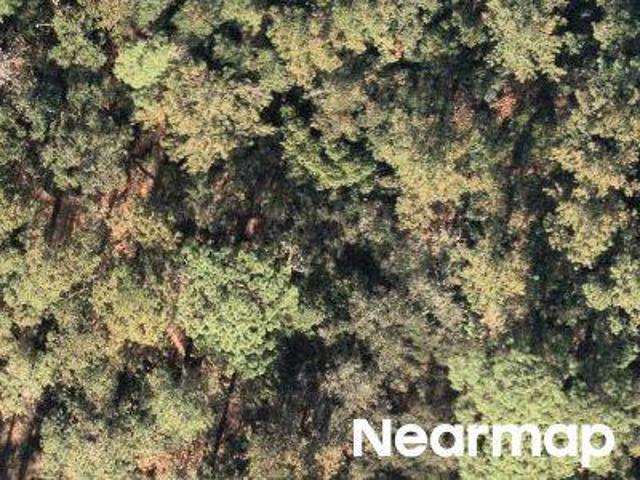 Property for sale in Florida