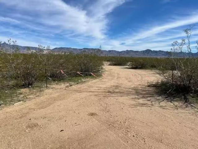 House for rent in Arizona